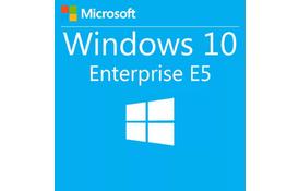Операционная система Microsoft Windows 10 Enterprise E3 Upgrade 1 Year Corporate (39504991_1Y)  - Фото