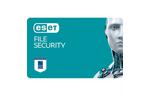 Антивирус ESET File Security 7 ПК лицензия на 2year Business (EFS_7_2_B) 
