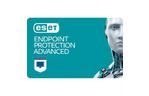 Антивирус ESET Endpoint protection advanced 15 ПК лицензия на 1year Busines (EEPA_15_1_B)