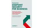 Антивирус Kaspersky Endpoint Security for Business - Select 15 ПК 1 year Base Li (KL4863XAMFS_15Pc_1Y_B)