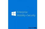 Microsoft Enterprise Mobility + Security E3 1 Month(s) Corporate (79c29af7)