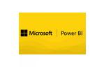 Офисное приложение Microsoft Power BI Premium P2 1 Month(s) Corporate (4daeed88)