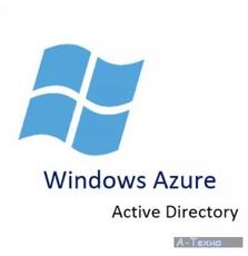 Microsoft Azure Active Directory Premium P2 1 Year Corporate (e59159fc_1Y)