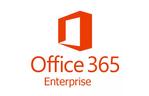 Офисное приложение Microsoft Office 365 Enterprise E5 1 Month(s) Corporate (a044b16a) 