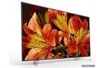 Телевизор SONY KD55XF8596BR2