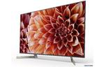 Телевизор SONY KD49XF9005BR2