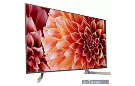 Телевизор SONY KD55XF9005BR2 - Фото