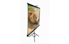 Проекционный экран на треноге 16:9 100'' (221*125 см) ELITE SCREENS T100UWH - Фото Проекционный экран на треноге 16:9 100'' (221*125 см) ELITE SCREENS T100UWH - Фото
