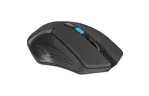 Мышка Defender Accura MM-275 Black-Blue (52275)