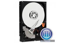 Жесткий диск 3.5