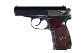 СЕМ ПМФ1 - Фото