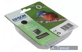 Картридж EPSON StPhoto R2000 Photo Black (C13T15914010) - Фото