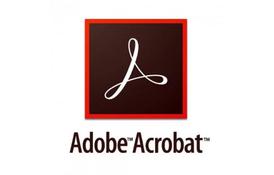 Офисное приложение Adobe Acrobat Standard 2020 Windows International English AOO Lice (65310828AD01A00) - Фото