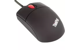 Мышка Lenovo Optical 2-Button Scroll Mouse (31P7410) - Фото