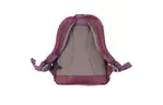 Рюкзак детский Deuter Pico 5534 plum-coral (36043 5534)