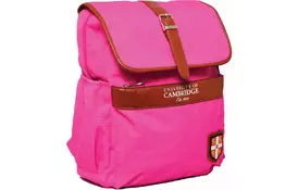 Рюкзак школьный Yes CA071 Cambridge розовый (552970) - Фото