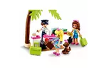 Конструктор LEGO Friends Самолёт в Хартлейк Сити 574 детали (41429)