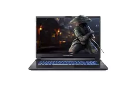 Ноутбук Dream Machines G1650-17 (G1650-17UA55) - Фото