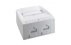 Розетка сетевая RJ-45x2 UTP cat.6 568A/B UTP Synergy DG+ Molex (SSY-00007-02) - Фото