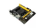 Материнская плата Biostar A68MDE