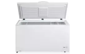 Морозильная камера Snaige FH40SM-T10001 - Фото