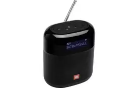 Акустическая система JBL Tuner XL Black (JBLTUNERXLBLKEU) - Фото