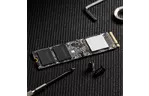 Накопитель SSD M.2 2280 256GB ADATA (ASX8100NP-256GT-C)