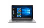 Ноутбук HP HP ProBook 470 G7 (8VU29EA)