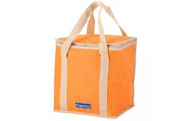 Термосумка Thermo Easy GA 20 л (4823082714889) - Фото