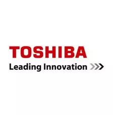 Девелопер TOSHIBA D-2505 Black 55К (6LJ83445000)