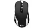 Мышка CANYON CNS-CMSW19B Wireless Silent Black -Silver (CNS-CMSW19B)