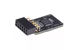 Контролер GIGABYTE TPM-SPI 12-1pin SPI interface SLB9670 (GC-TPM2.0 SPI 2.0) - Фото