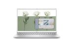 Ноутбук Dell Inspiron 5501 (I5501F58S2ND330L-10PS)