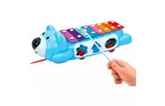 Развивающая игрушка BeBeLino Ксилофон-сортер на колесах (58021-2)