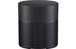 Акустическая система Bose Home Speaker 300 Black (808429-2100)