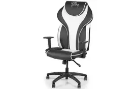 Крісло ігрове Barsky Sportdrive (BSDsyn-04) - Фото