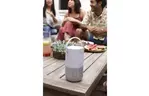 Акустическая система Bose Portable Home Speaker Silver (829393-2300)