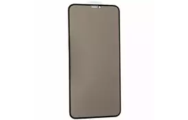 Скло захисне Gelius Pro 5D Privasy Glass for iPhone 11 Pro Max Black (00000075729) - Фото