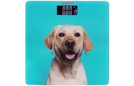 Весы напольные Ardesto SCB-965DOG - Фото