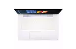 Ноутбук Acer ConceptD 7 Ezel (NX.C5AEU.008)