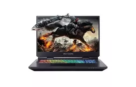 Ноутбук Dream Machines RX2060-17 (RX2060-17UA32) - Фото