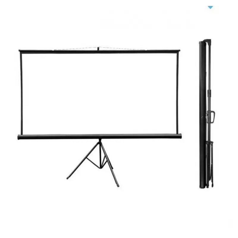 Полотно проекційного екрана Matte White